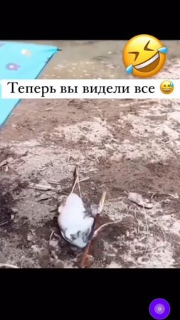 Я этот мир, абсолютно понятен)