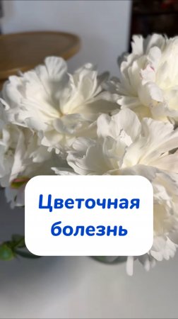 Артикул на WB #234577722 
Ozon #1664064287
Вместо ста баночек,одна для всех поверхностей в доме!🫧