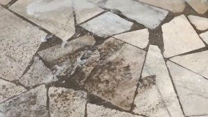 Volkswagen caddy обслуживание с промывкой радиаторов и двига?