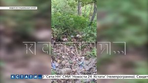 Многодетным семьям положенные по закону земельные участки выдали на свалке и в непролазной чаще