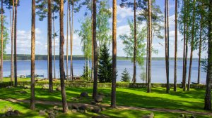 Коттеджный поселок Сосны на берегу Суходольского озера