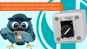 Комбинация устройств управления в корпусе (пост кнопочный в сборе) - Олниса