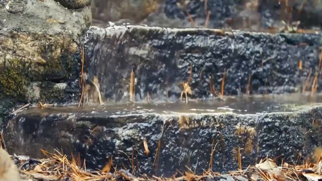 От вас несет! мачеха выгнала детей спать под дождь. А с? смотреть онлайн