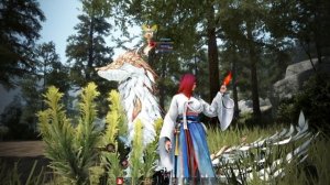 [Black Desert] Короткий гайд про Мэгу комбинации Морфы в Пве!