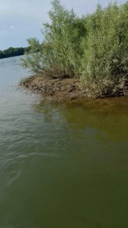 Покатушки на сап досках , хотите берите в прокат или запишитесь на сап тур Игорь Мячин все устроит