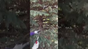 1000033375.mp4