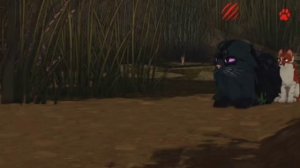 как ролить за котёнка, королеву,оруженосца в WCUE|Warrior cats