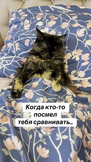 Почему мы сравниваем себя с другими