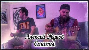 Алексей Жуков - Соколы