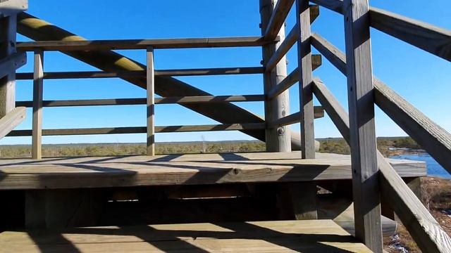 Hiking in Kemeri Swamps Park Latvia Поход в Болотный парк Кемери Лат?