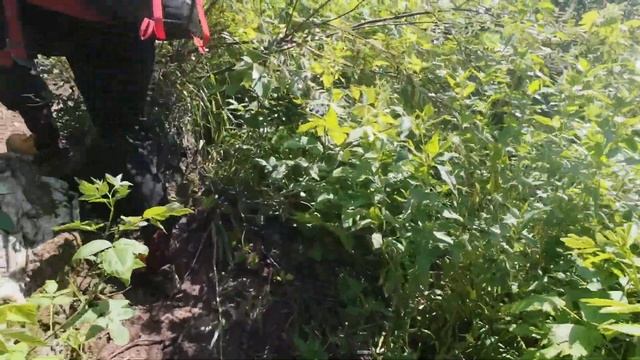 Гора Ялангас, Уральские горы, Башкортостан смотреть онлайн