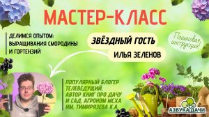 От саженца до шедевра: мастер-класс от Ильи Зеленова по выращиванию смородины и гортензий