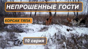 Фильм "Корсак Тяпа". 10 серия. Непрошенные гости