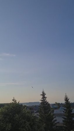 Ласточкин фокстрот