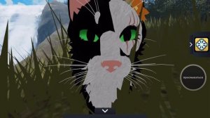 #Как охотиться в Warriors cats roblox #Для новичков!🙃 #роблокс ?