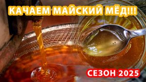 КАЧАЕМ МАЙСКИЙ МЁД