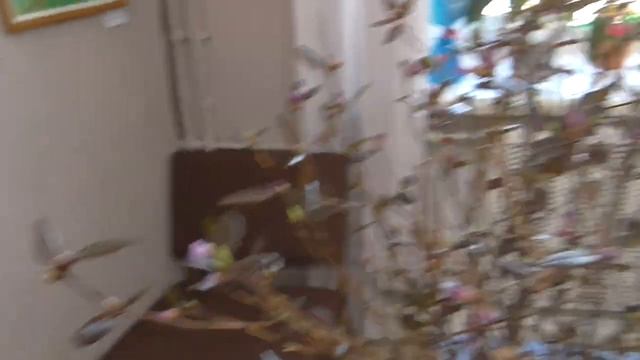 Художник Наталья Мустакимова человек широкой натуры