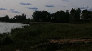 10.06.2025.Усадьба Парк Кино Ляхово. Парк Кошек.Домодедово.Московская область. Обзор пляжа на нижнем