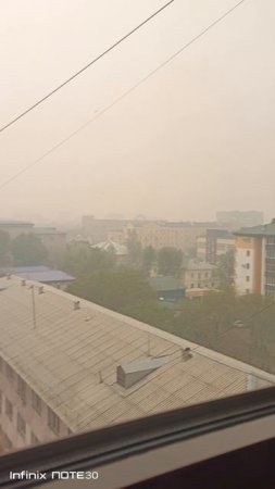 дымно 10 июня 2025