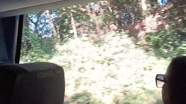 Lindo paisagem no caminho de São Paulo para Santos. Красивый пейзаж на пути и