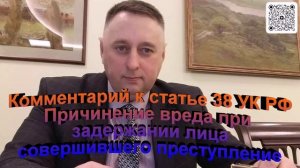 Комментарий к статье 38 УК РФ Причинение вреда при задержании лица совершившего преступление