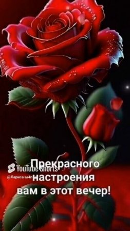 Добрый вечер!
