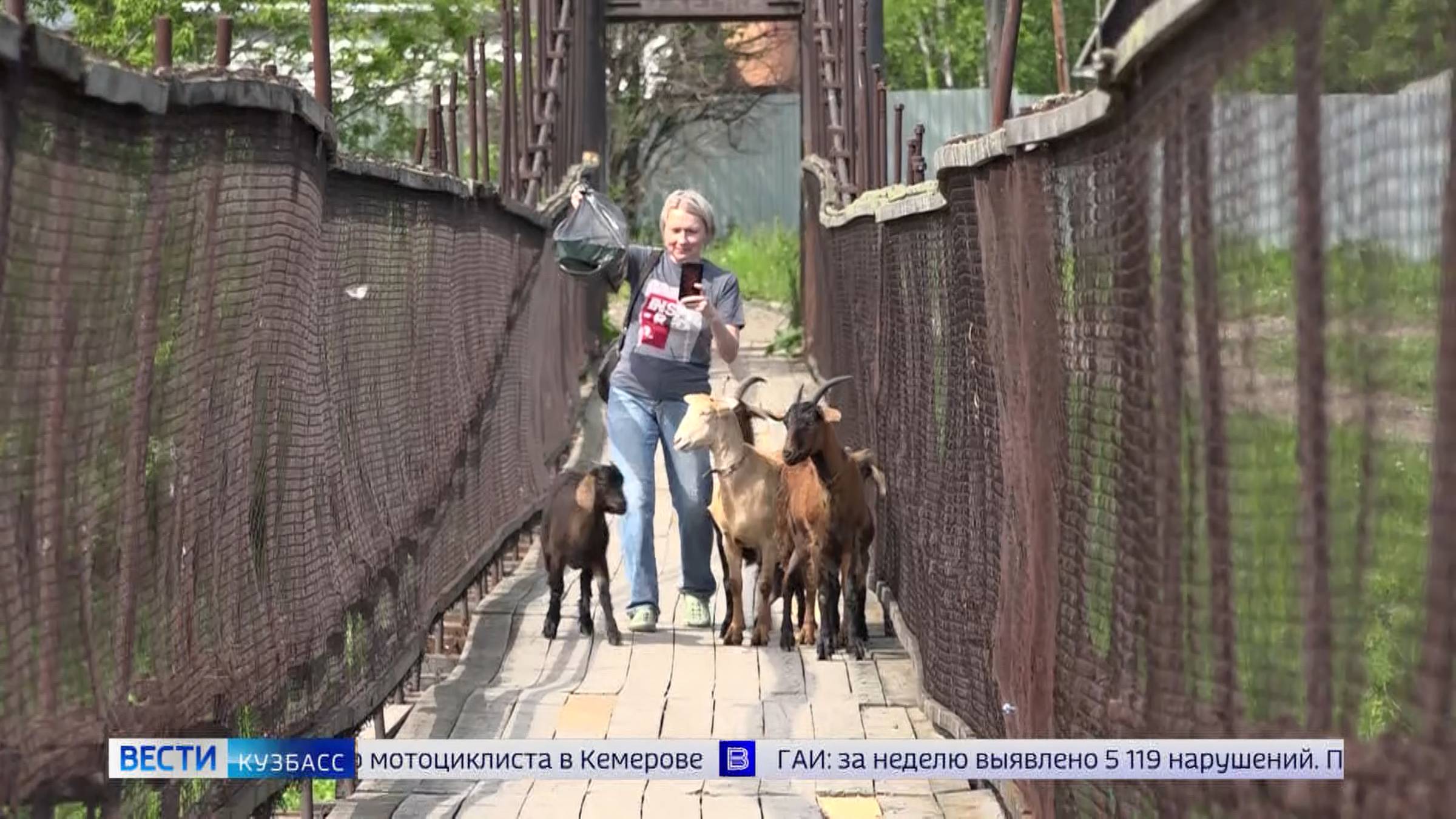 Проехать невозможно, идти страшно: жителей села Костёнково пугает состояние моста