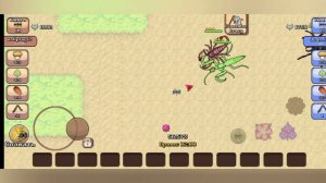 золотой ранг! (pocket ants симулятор колонии)
