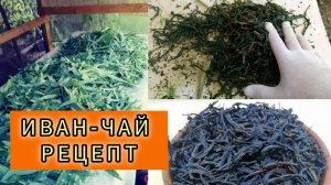 Правильный рецепт Иван -Чая. Классика. Обучение.