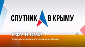 Опасные животные и насекомые Крыма