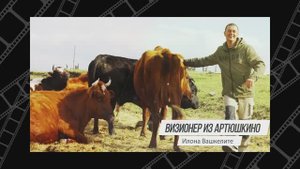 Кинофестиваль "Крым.Док". Фильмы в номинации "Крымские премьеры 2025".