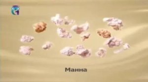Манна