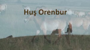 Хуш Оренбур