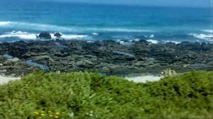 Порт Элизабет — город в ЮАР