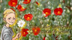 Фоновая музыка для работы и учёбы. Спокойная музыка Чиллаут и красивые цветы для вашего творчества