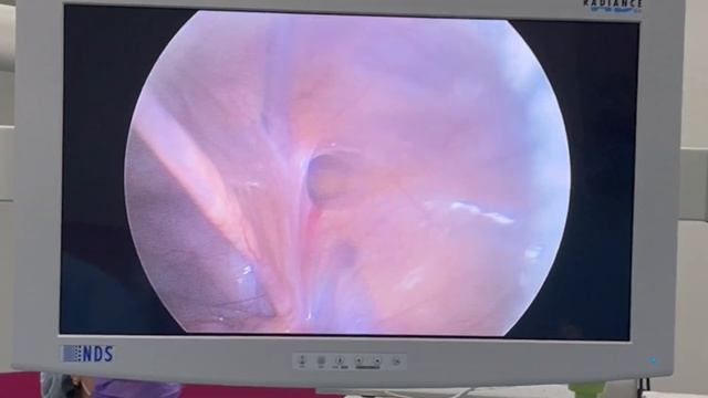 Заставка канала. #doctor #instagramyoutube #instavideo #medicine #врач #врач? смотреть онлайн