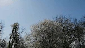 Прогулка в Александровском парке в Шахтах. Ростовская