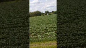 Едем из Воронежа в с. Глазово Нижнедевицкого района 80 км.
