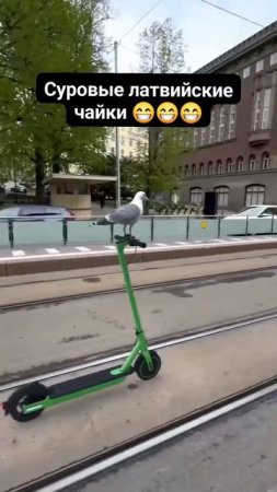 Угонщица!