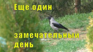 ЕЩЕ ОДИН ЗАМЕЧАТЕЛЬНЫЙ ДЕНЬ ОТПУСКА/ 24 мая 2025