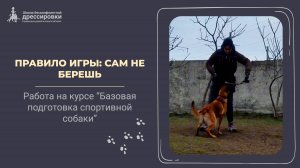 Правило игры с собакой: "Сам не берешь"