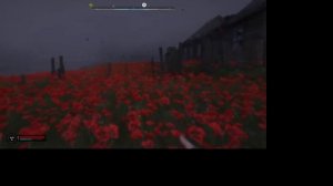 Как найти тайник в маковом поле S T A L K E R  2  Heart of Chornobyl