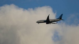 Петербурженка трижды попала на овербукинг при авиаперелетах: что это такое