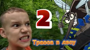Трасса в лесу 2