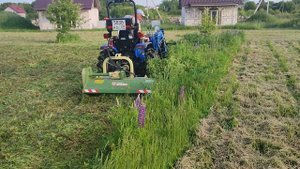 косим дикий боярышник и бурьян мульчером