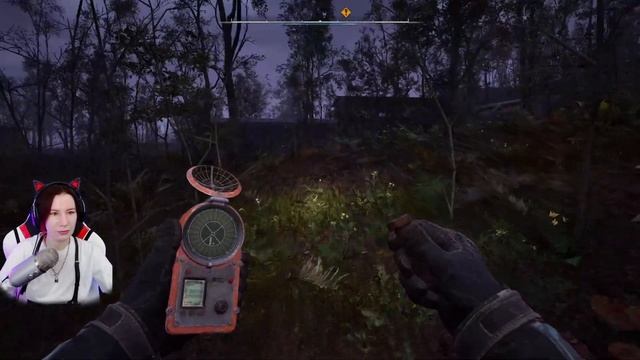 STALKER 2 : Сердце Чернобыля | S.T.A.L.K.E.R. 2: Heart of Chornobyl Полное П? смотреть онлайн