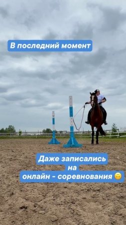 Видео 2: Справится ли Джуник с рабочей выездкой? Первое испытание — ВОРОТА!