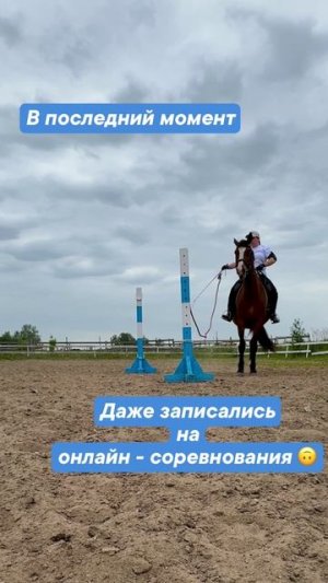 Видео 2: Справится ли Джуник с рабочей выездкой? Первое испытание — ВОРОТА!