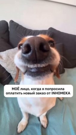 Хочешь получить товары нашего бренда бесплатно? Читай в описании