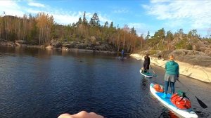 Кит на Ладоге.